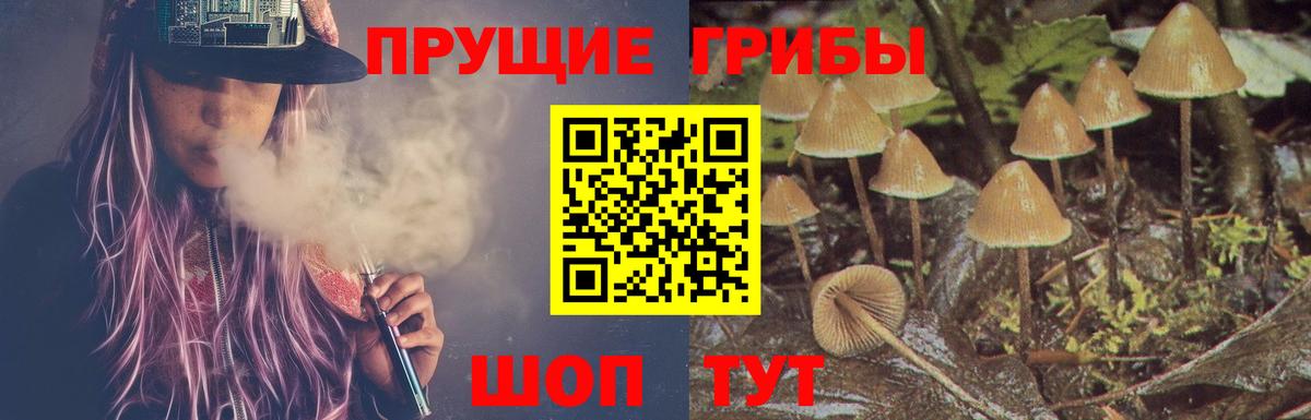 Псилоцибиновые грибы MAGIC MUSHROOMS Владимир